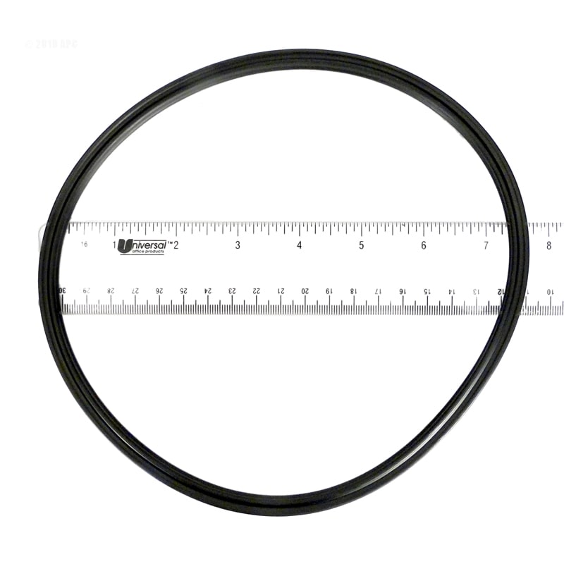 Canister Lid O-Ring