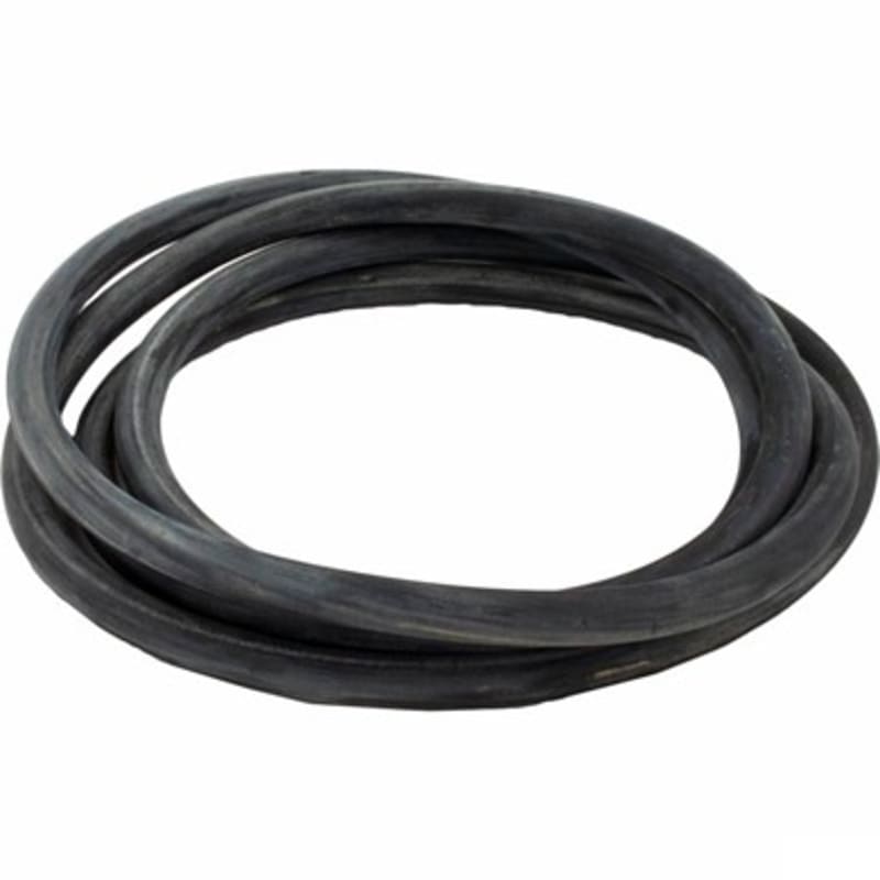 O-Ring (HRPB24)