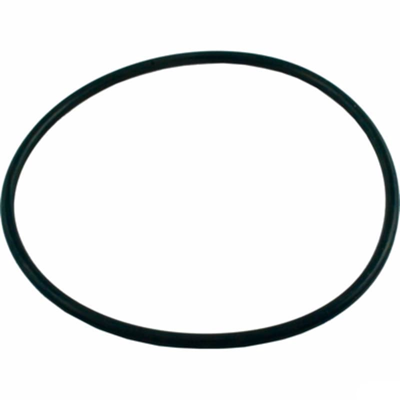O-Ring, Valve Flange