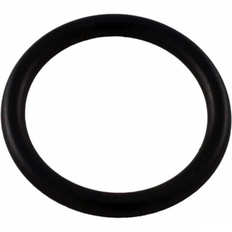 Drain Cap O-Ring For Cristal-Flo Filter