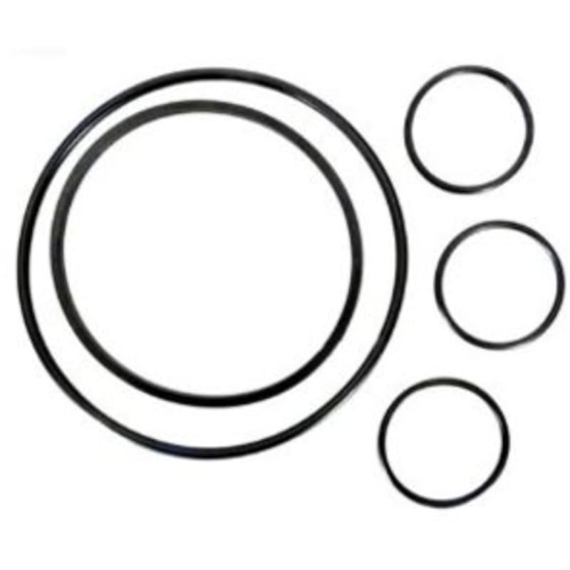 O-Ring Kit: All O-Rings on Strainer and Filter 