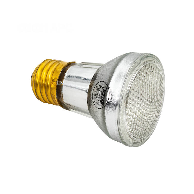 Lamp, 100W, 120V - Spa