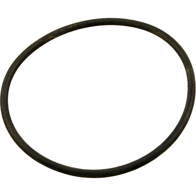 Bulkhead O-Ring, Swimclear Cartridge Filter