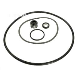 Sta-Rite PE & P2RA & AJ Series Rebuild Kit