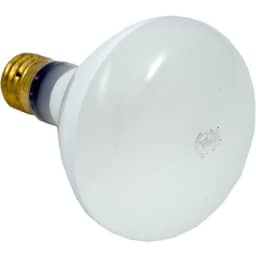 Replacement Bulb, 500W 120V, Mogul Base