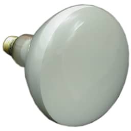 500W Bulb, 120V, Medium Base, R-40
