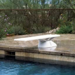 6' & 8' Edge Diving System Spring - GRAY