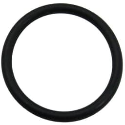 Cam O-ring