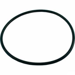O-Ring, Valve Flange