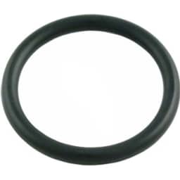 AH Series Pump Seal Flange O-Ring