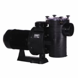 12.5 HP Commercial Thermoplastic Pump