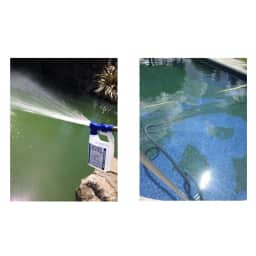 Revive, Pool Phosphate and Algae Remover- 32oz