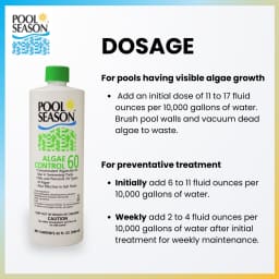 Polyquat 60 Concentrate Algaecide for Inground Pool and Above Ground Pools, Professional Grade Treatment for All Algae Types, 32 oz