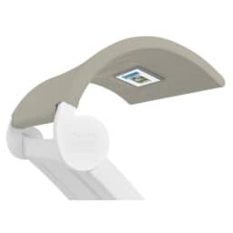 White Frame Cadet Grey Fabric Signature Chaise Shade