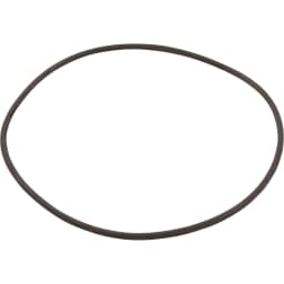 Swimclear C100S/C150S and C200S  Lid O-Ring