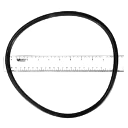 OEM O-Ring for Filter Head