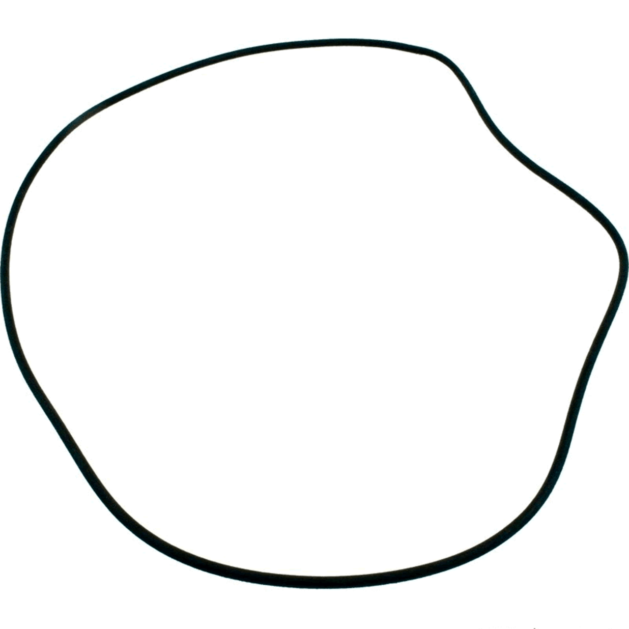 O-Ring Tank 24" Diameter SS