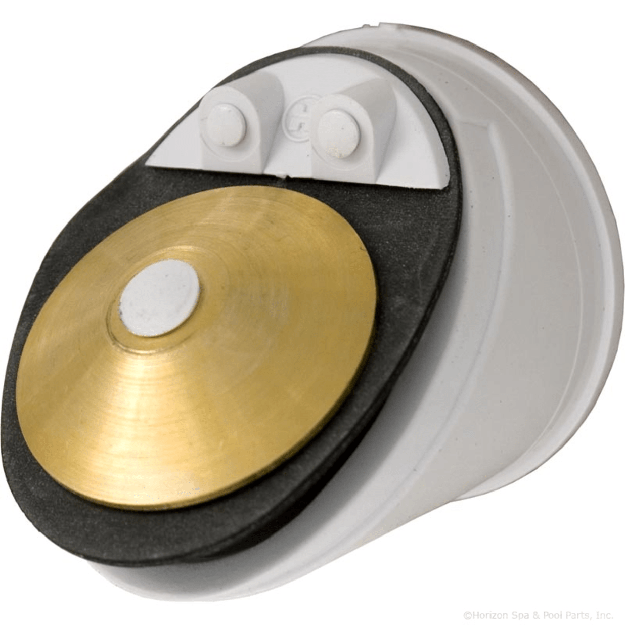 Filter Check Valve, Star-Clear/Perflex/ASL/RegenX