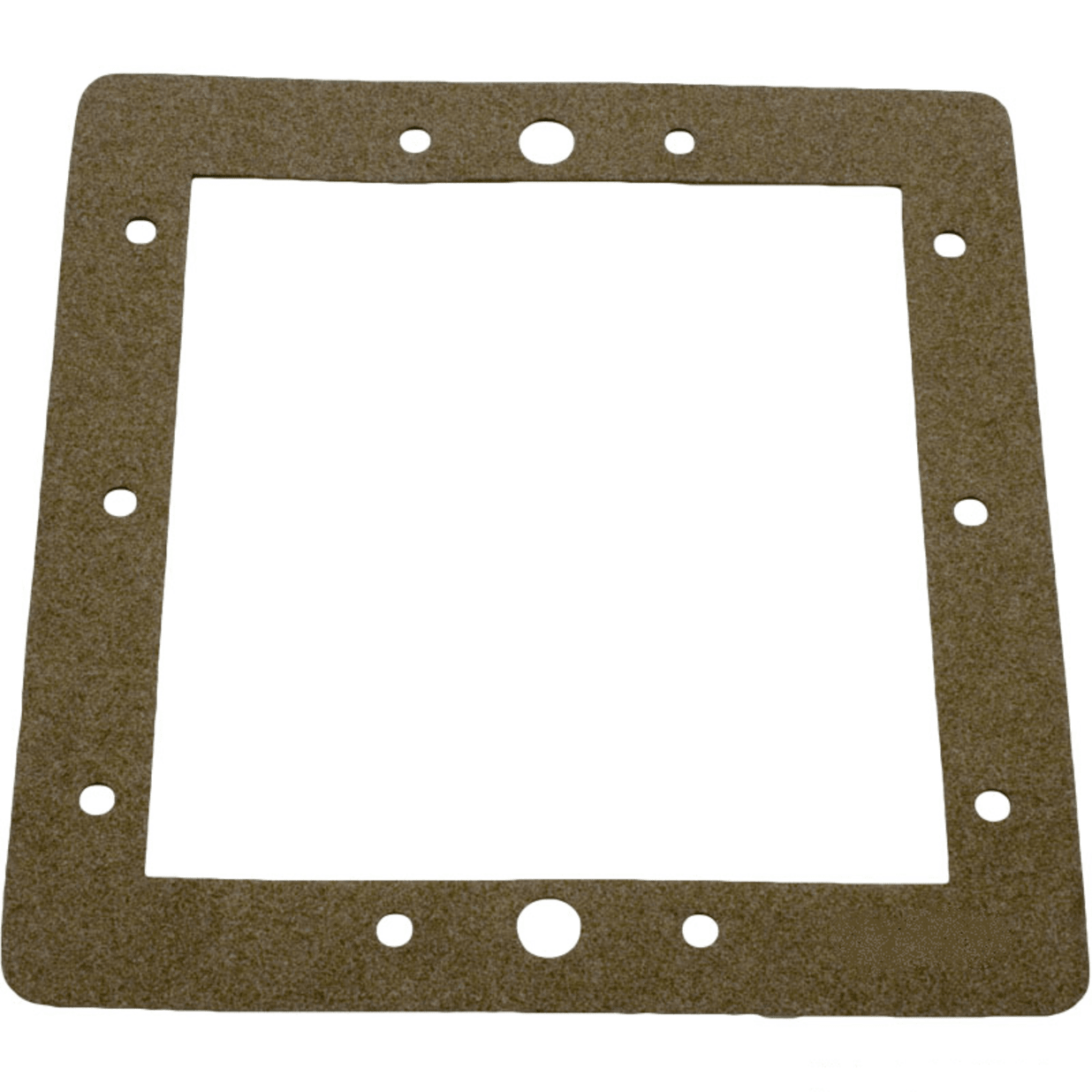 Face Plate Skimmer Gasket