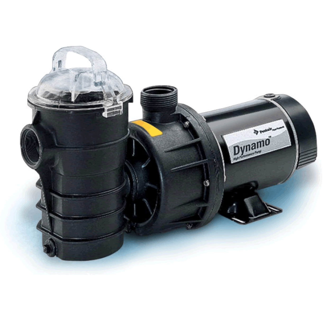 Pentair Dynamo Pump 1.5HP 115/230V DYNII-NI