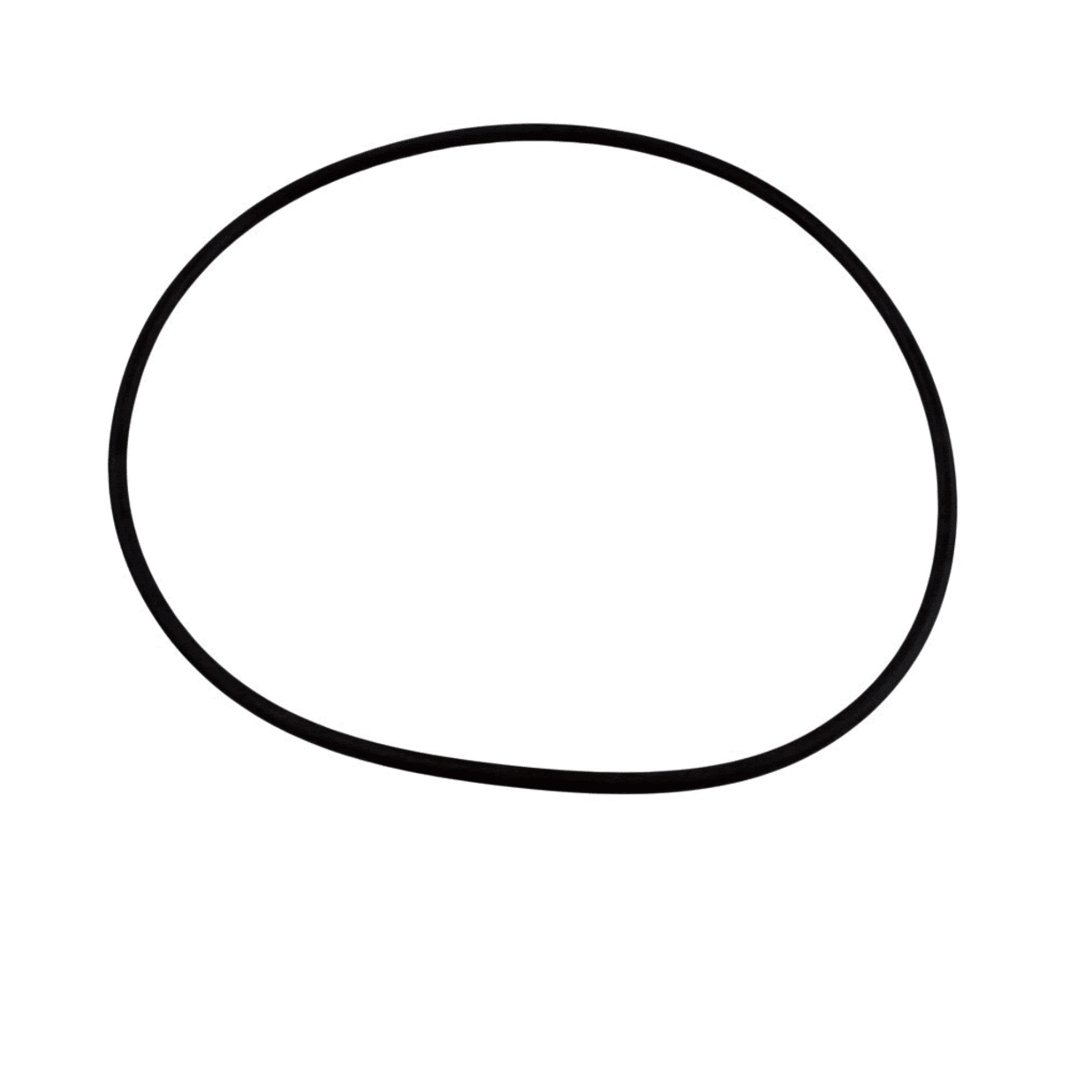 O-Ring #449 Dominator Series