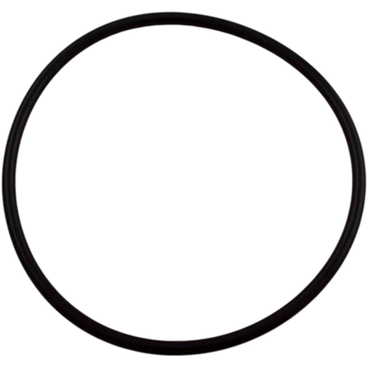 Trap Cover O-Ring