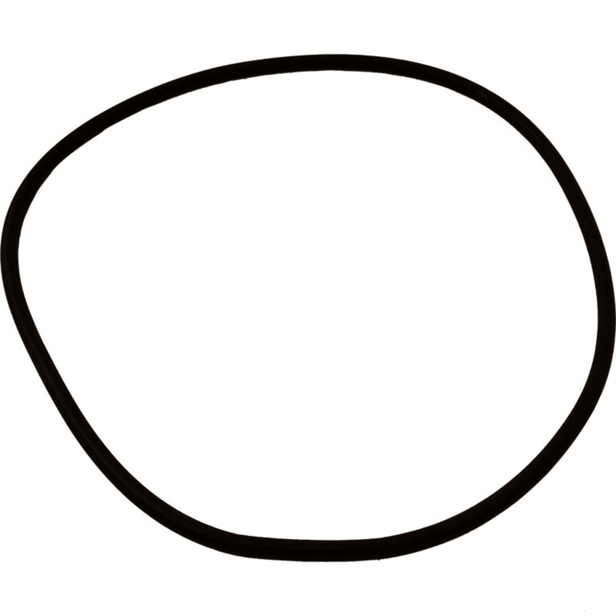 O-Ring for Seal Plate