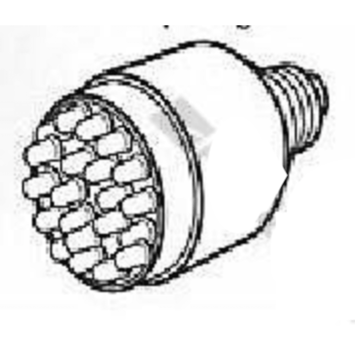 Bulb 22 Led Medium Base 120V