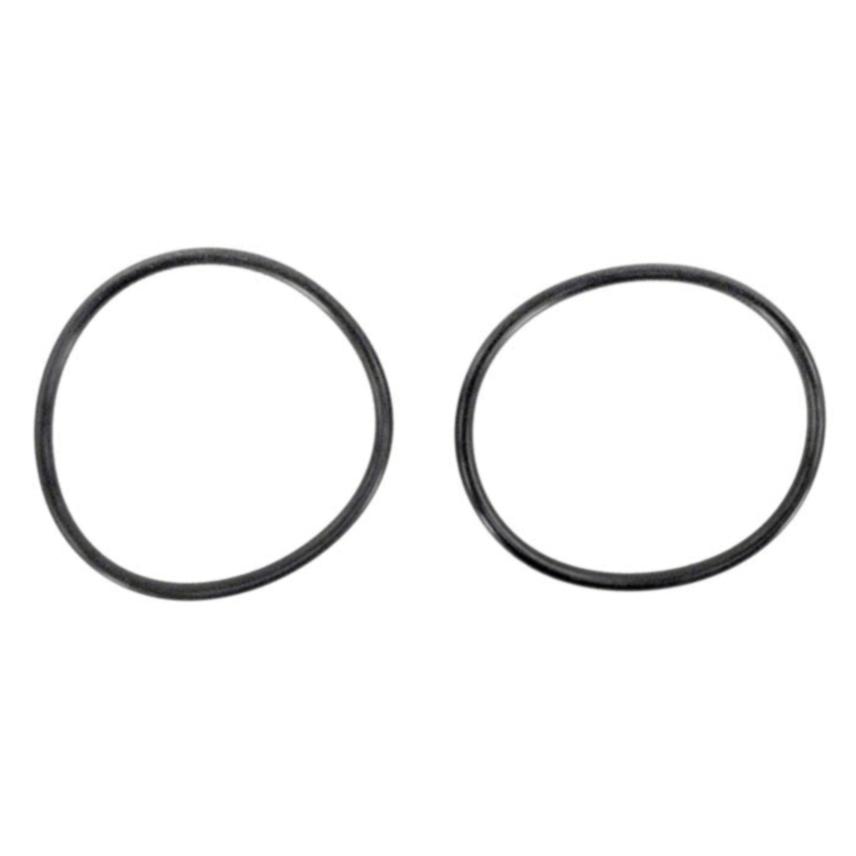 OEM Valve Union O-Ring, 2 Pack