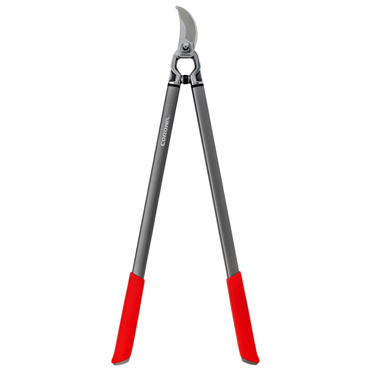 ClassicCUT  Bypass Lopper, 31 Inch