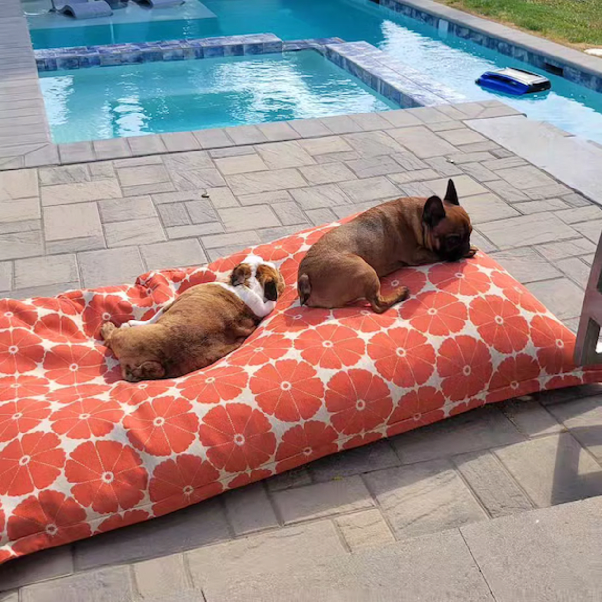 Laze Pillow Floating Lounger, Coral Floral