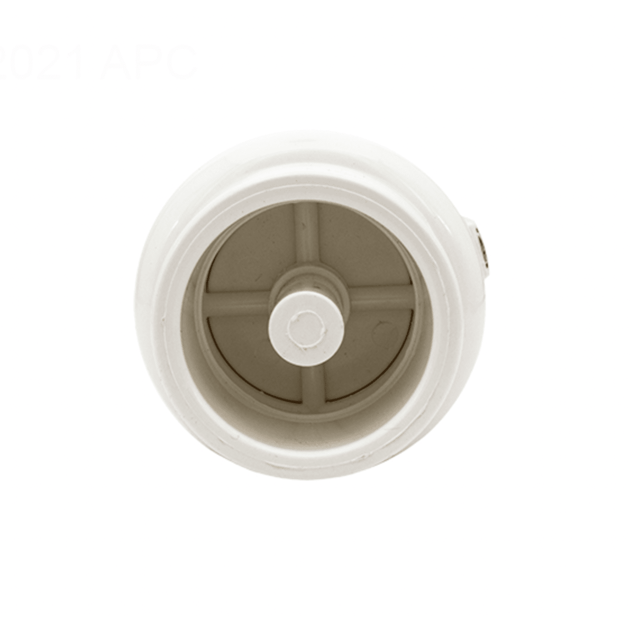 Pentair Check Valve - R172288