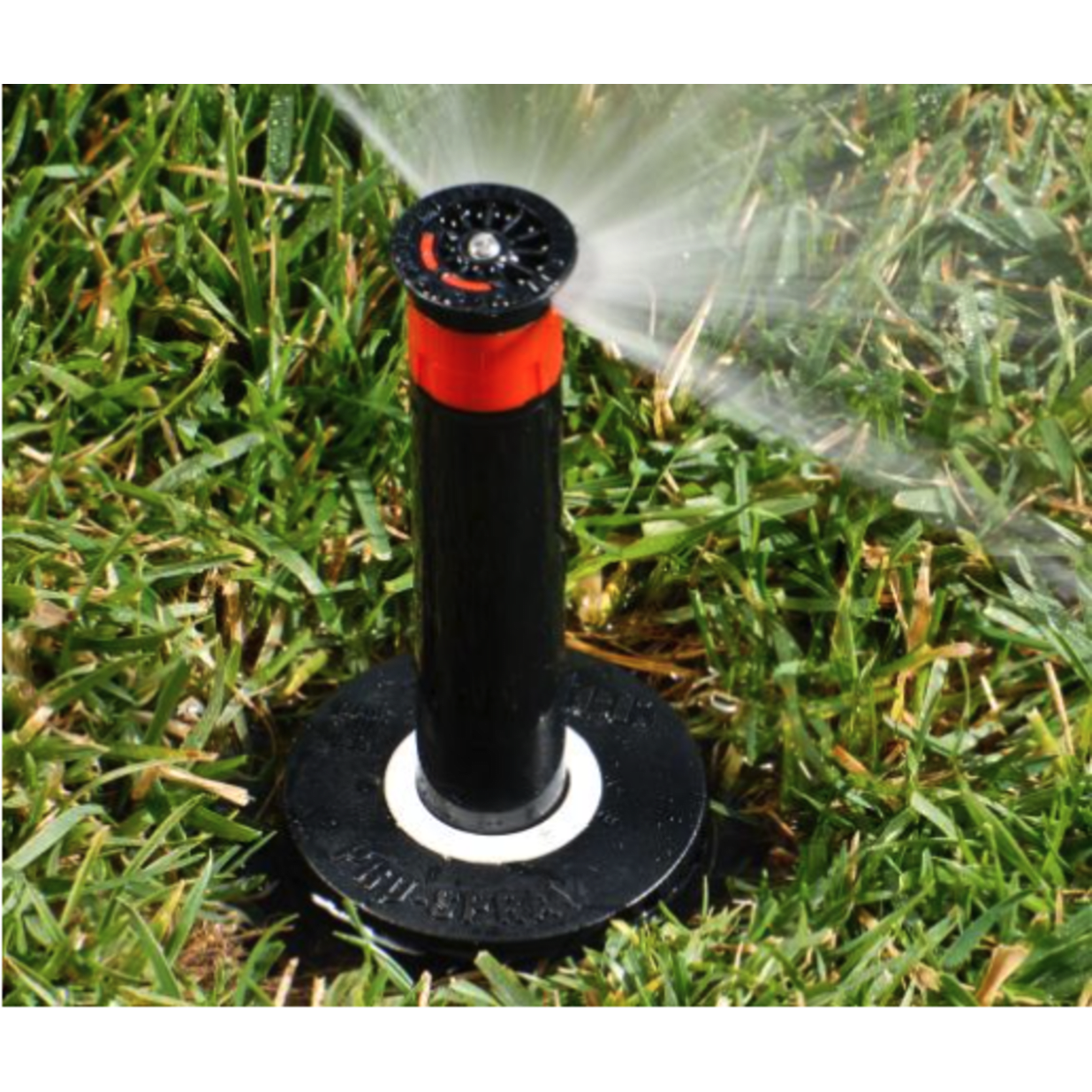 PROS-04-CV-R, 4" Pro-Spray With Check Valve With Reclaimed Body Cap