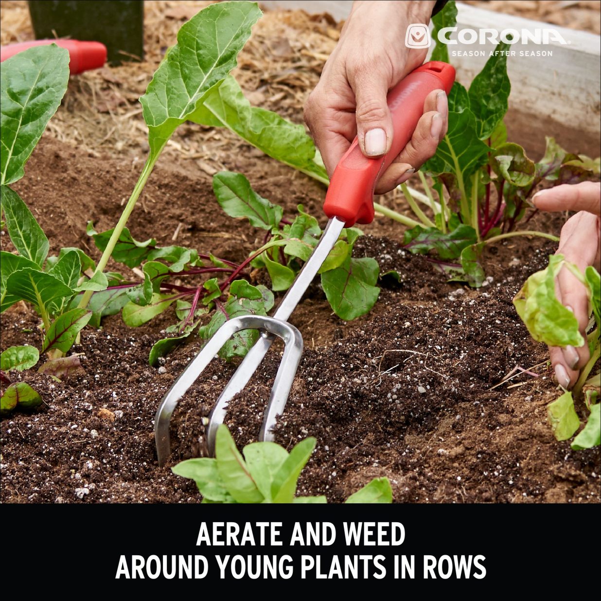 Premium Stainless Steel ComfortGEL CULTIVATOR