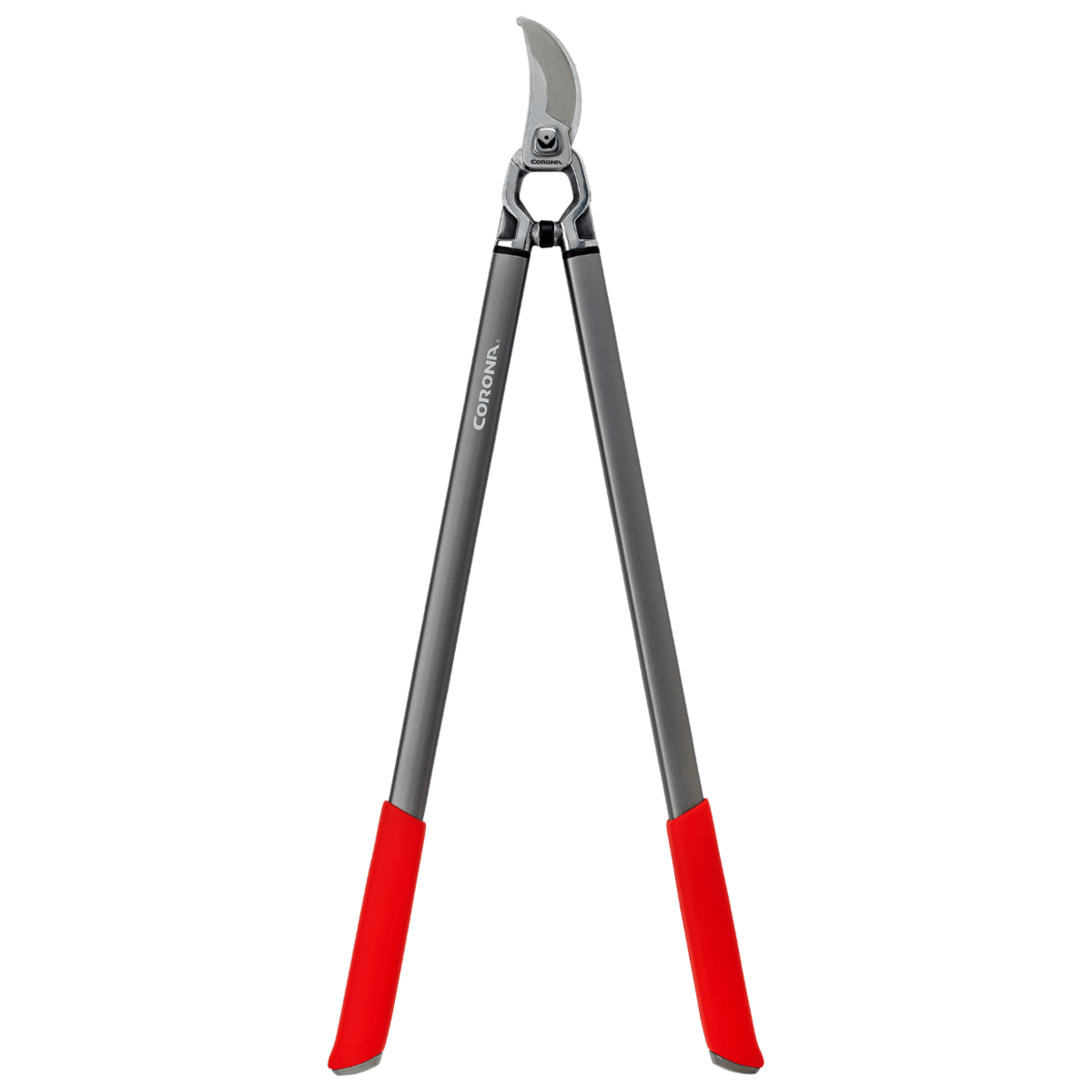 ClassicCUT  Bypass Lopper, 31 Inch