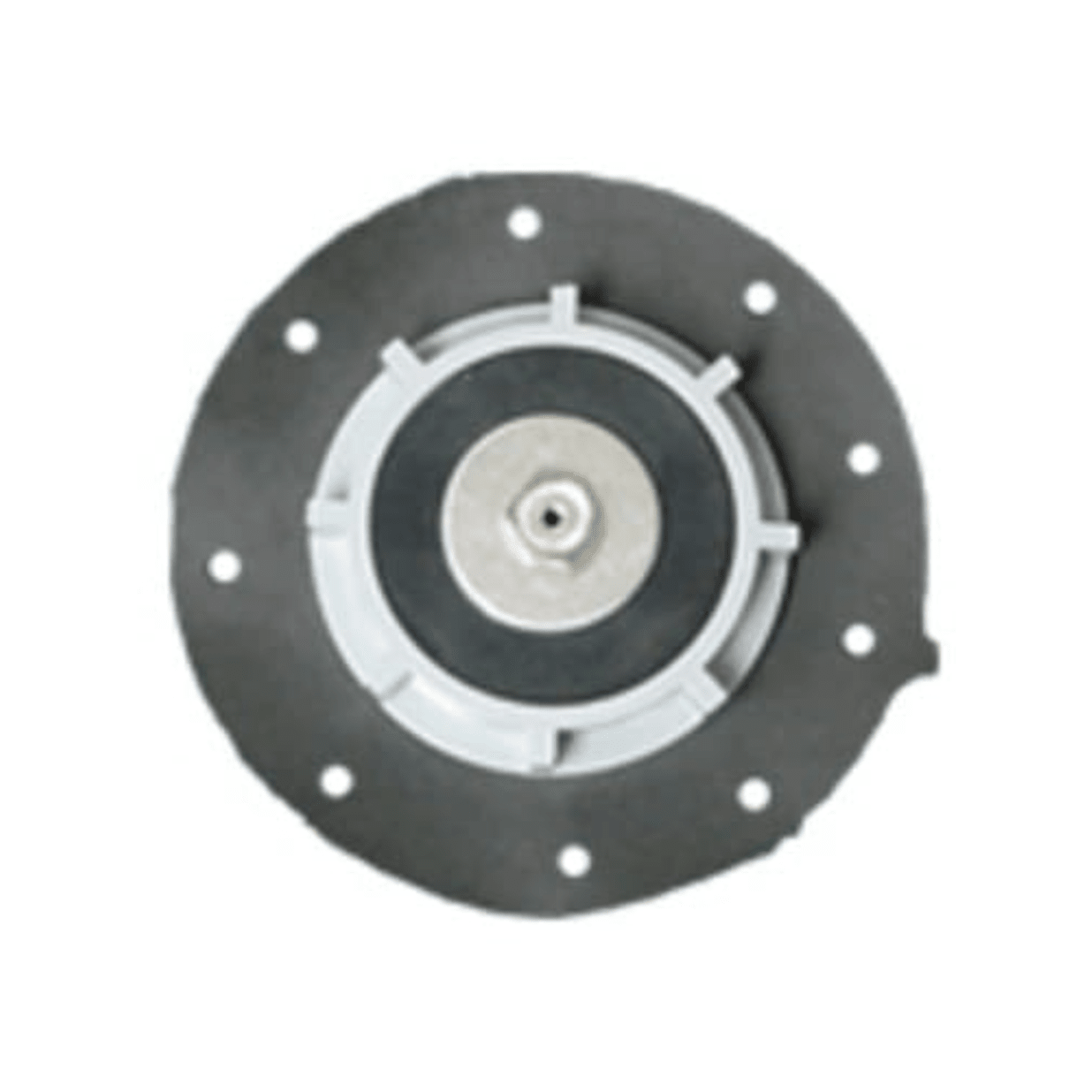 100232-H, 1" Valve Diaphragm Assembly 205 & 205A