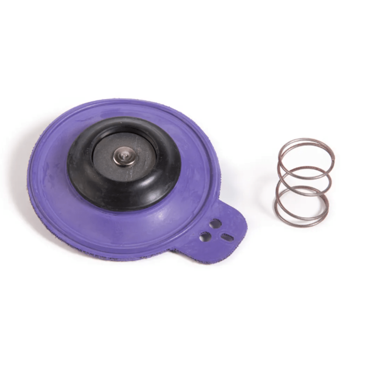 Diaphragm Assembly for 1 1/4 in. G & EF Series Valves