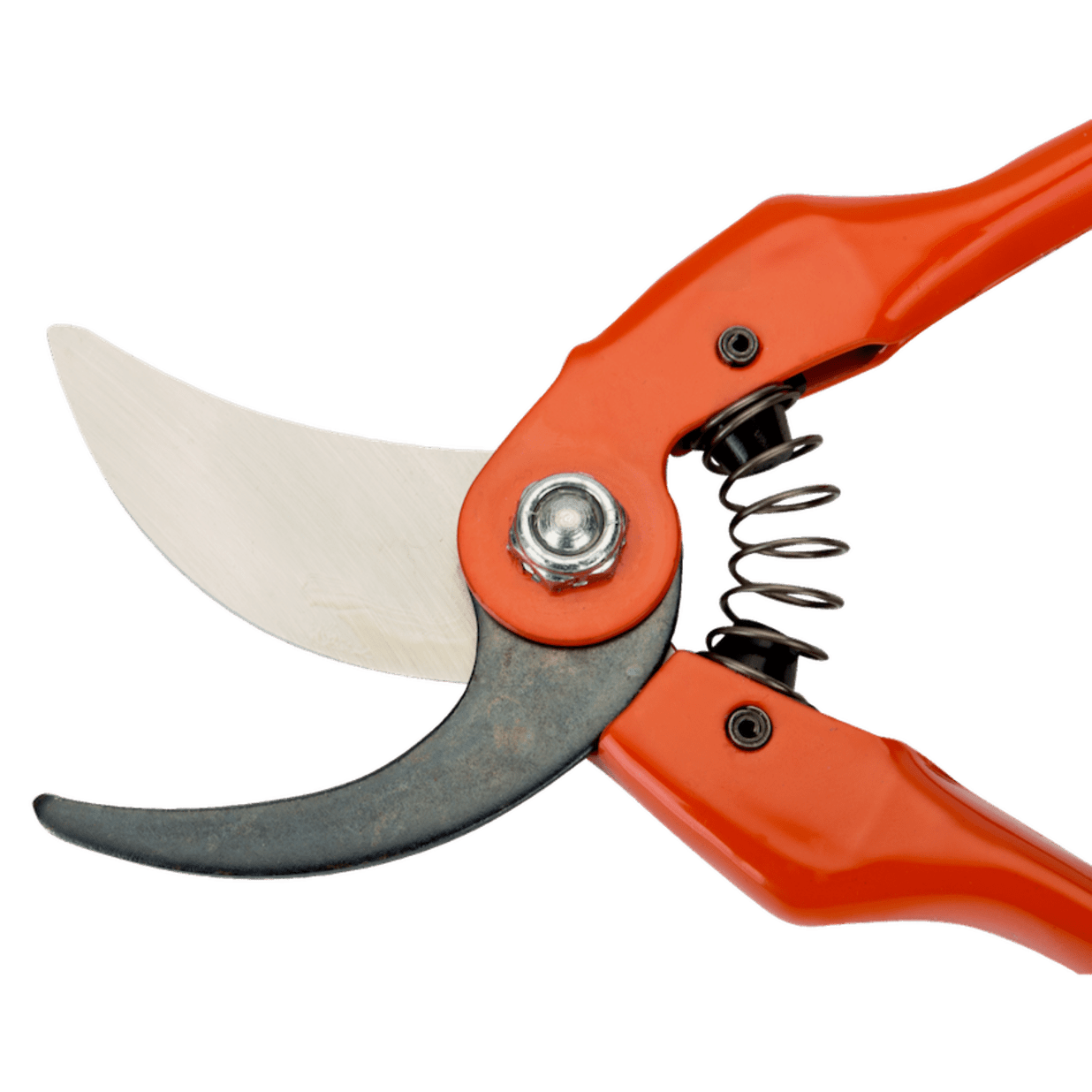 P126-22-F, Bypass Secateurs 3/4 in Capacity