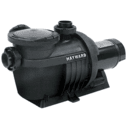 Northstar Pool Pump .75HP EE FR 115/230V