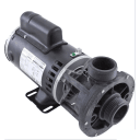 1HP 2-Speed FMCP Spa Pump, 120V