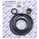 Northstar Pump Seal Kit (Pumps Before 2003)