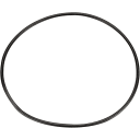 Seal Plate O-Ring for IntelliFlo3 VSF 1.5 HP Pump