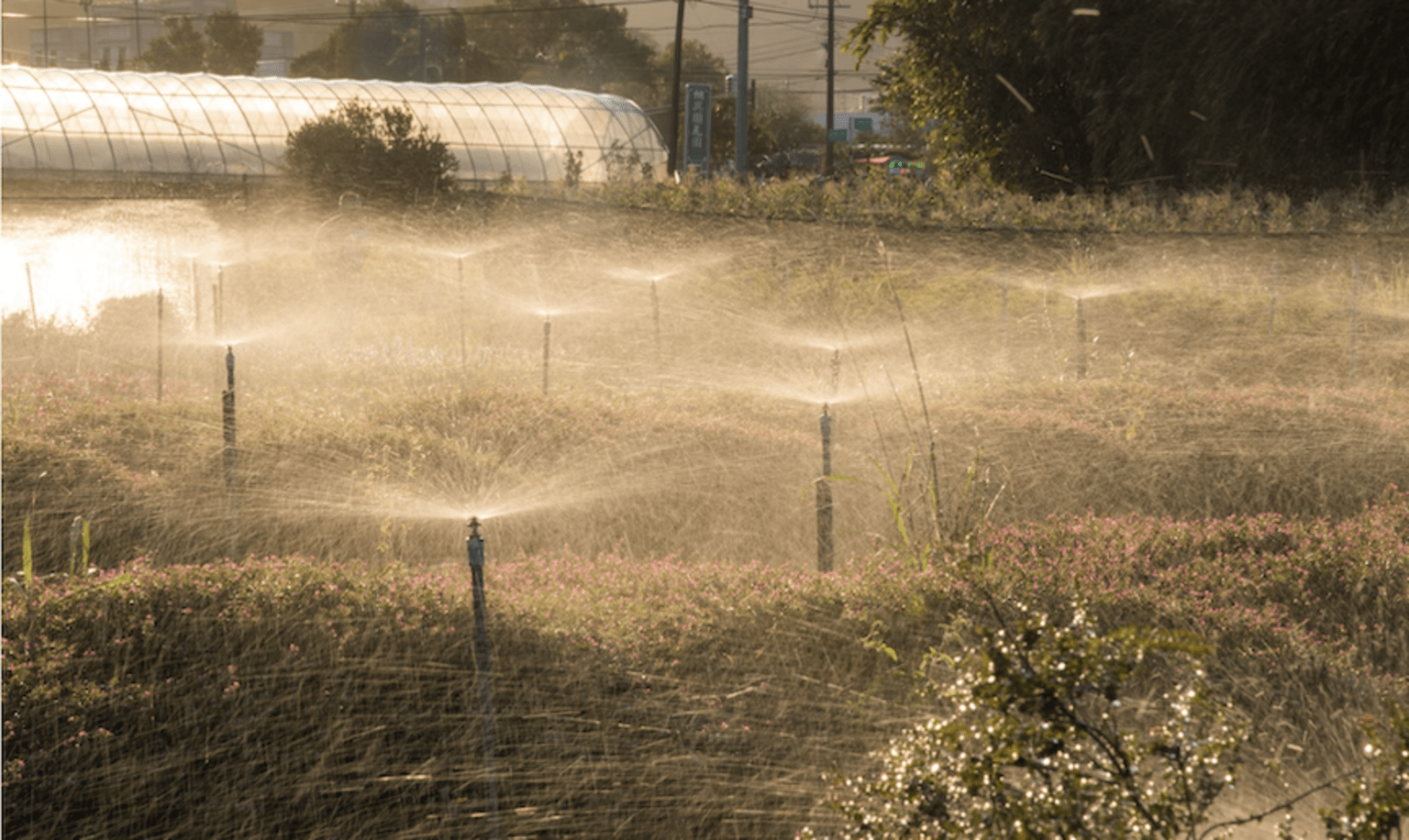 End-to-End Customer Service.