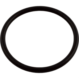 Bulkhead O-Ring For Sandpiper