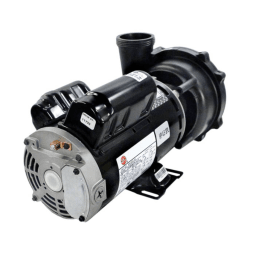 1.5HP Executive Spa Pump, 2 Speed, 115v, 48fr, 2"