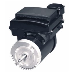 Ecotech EZ Pool & Spa Replacement Motors 3 HP, 56J Frame - C-Face
