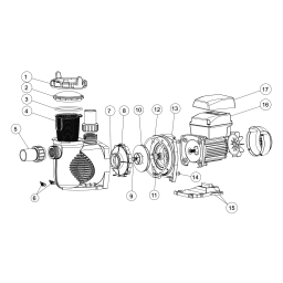 Raypak 018197  Protege Rpvsp1 1.5Hp Vsp Ag Pump