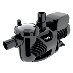Raypak 018197  Protege Rpvsp1 1.5Hp Vsp Ag Pump