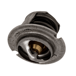 Thermal Regulator for MasterTemp 125 Heater Water System