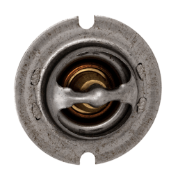 Thermal Regulator for MasterTemp 125 Heater Water System
